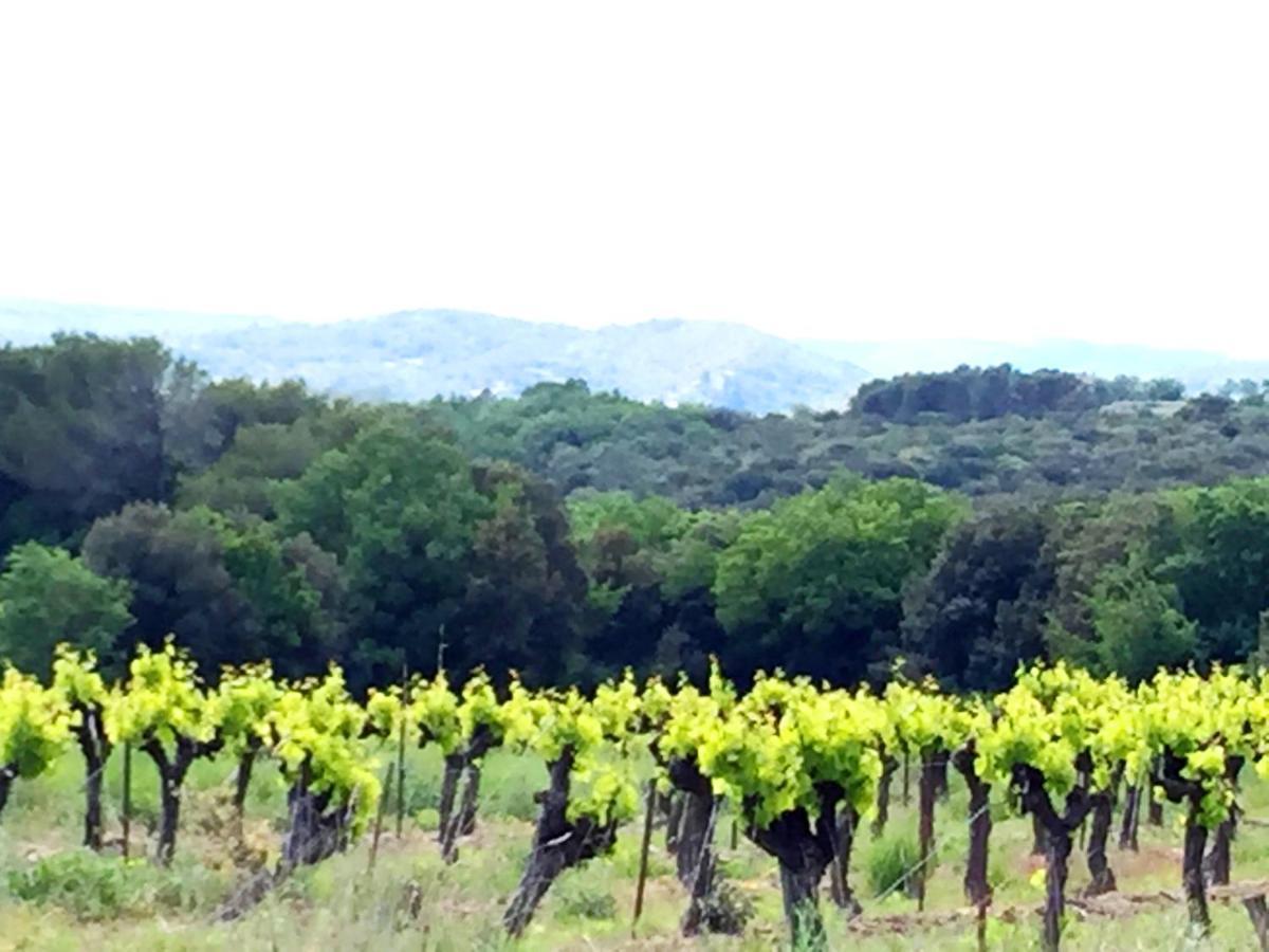 Le Clos Soleilhan Saint-Gervais  Buitenkant foto